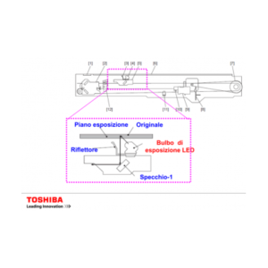 TECNOLOGIA COLORE LED TOSHIBA